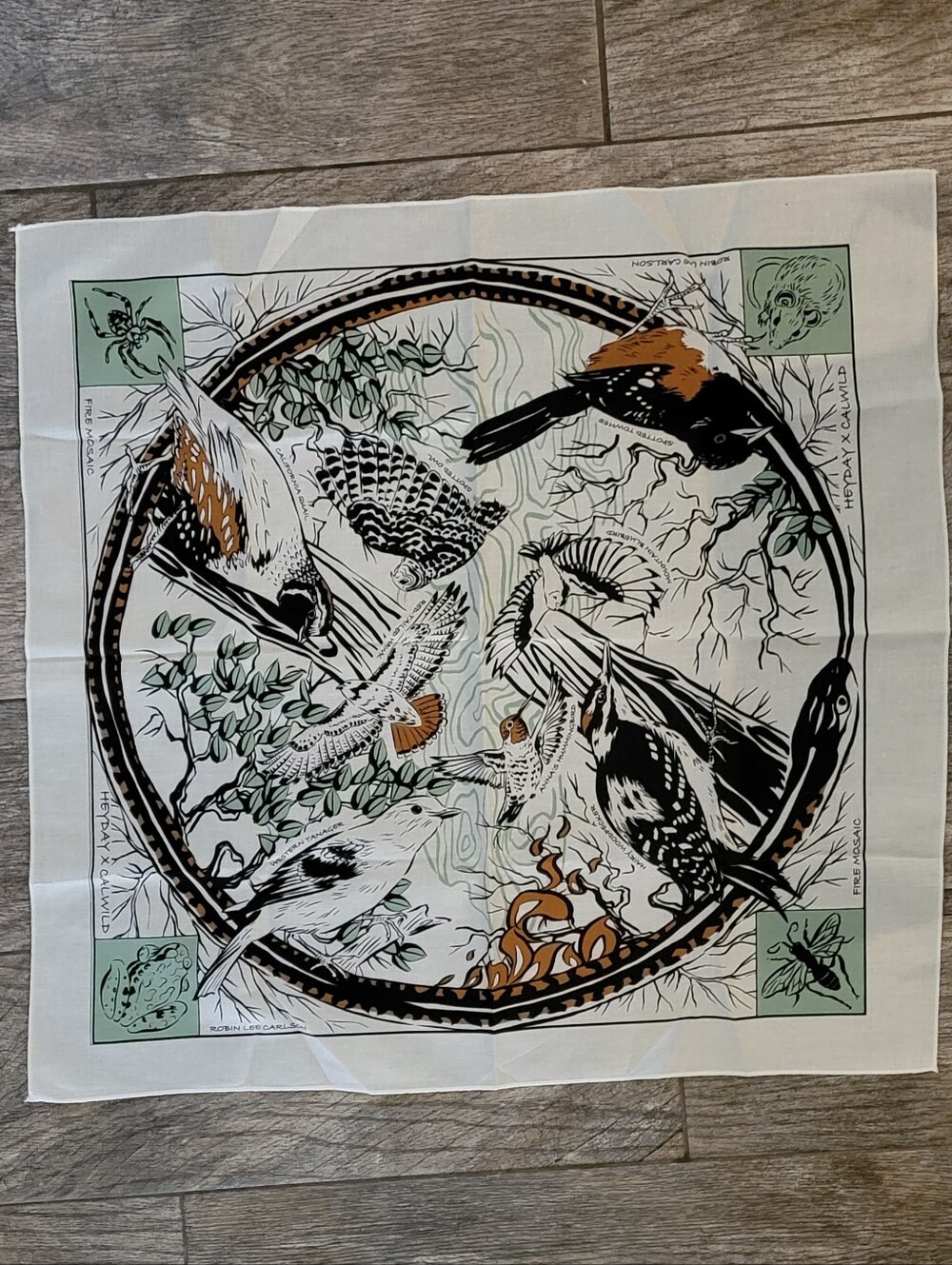 Heyday x Calwild "Fire Mosiac" Bandana Neckerchief Robin Lee Carlson Ouroboros